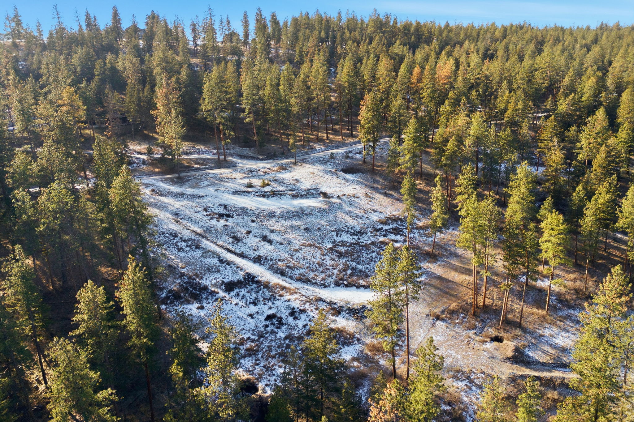 10570 Horseback Ridge Road Property Photo 47