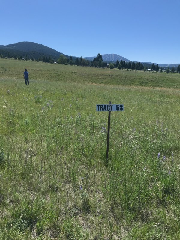 Tract 53 Whiskey Flats, Stevie Lane Property Photo 1