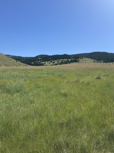 Tract 53 Whiskey Flats, Stevie Lane Property Photo 3