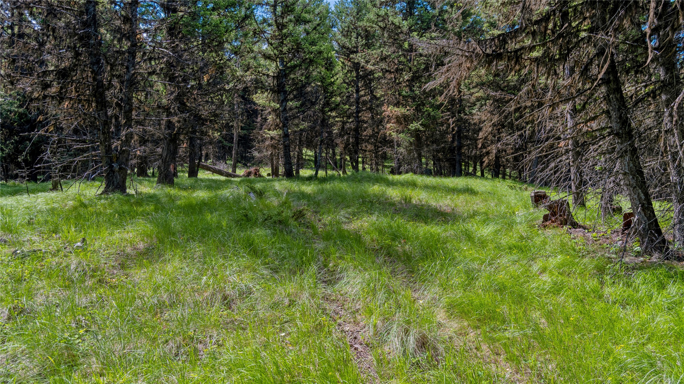 4154 Ashley Lake Road Property Photo 13