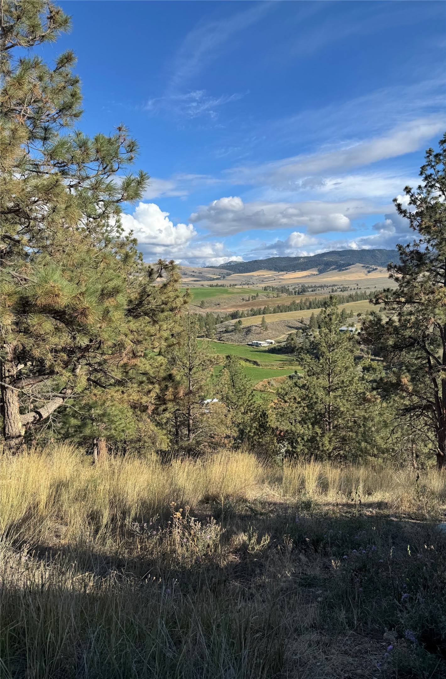 2019 S Sunset Bench Road Property Photo 11