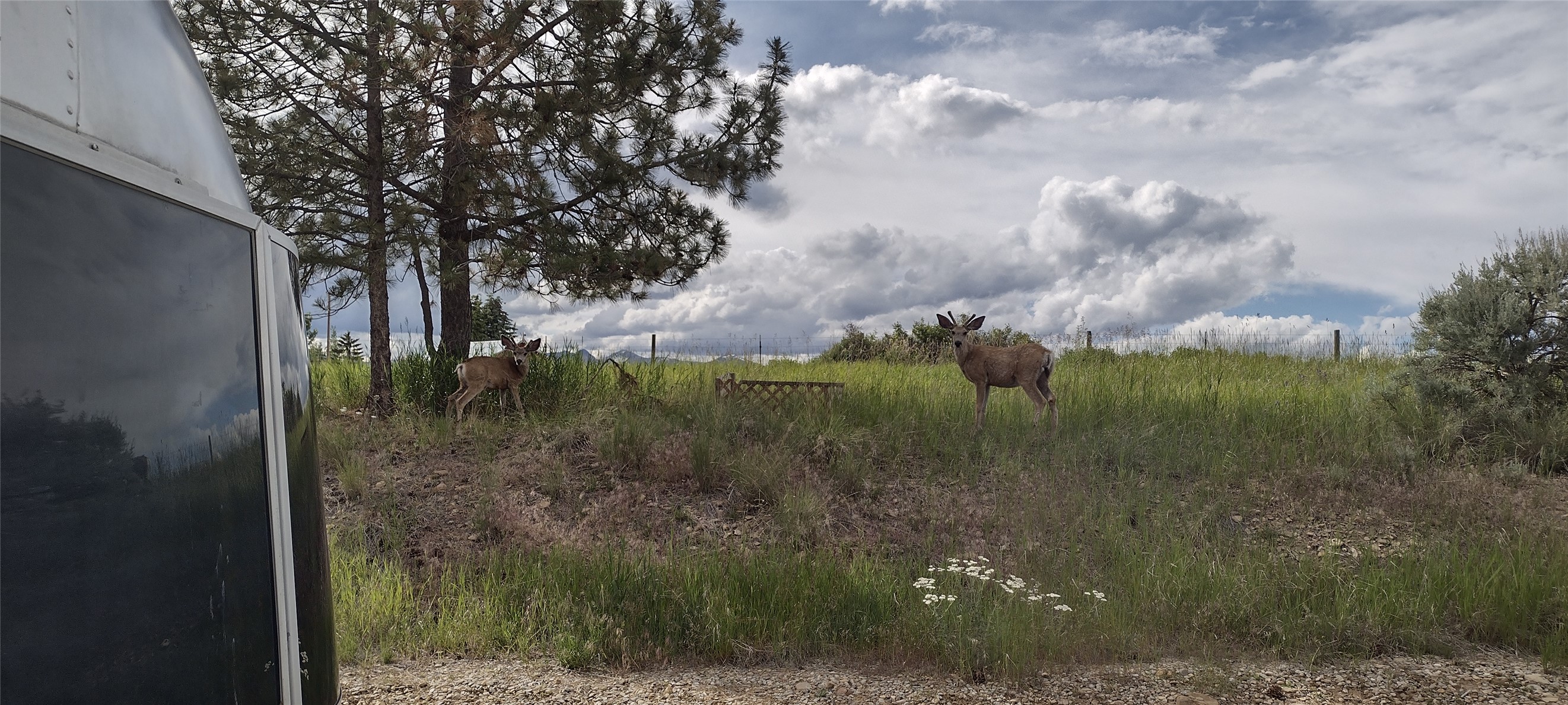 2019 S Sunset Bench Road Property Photo 25