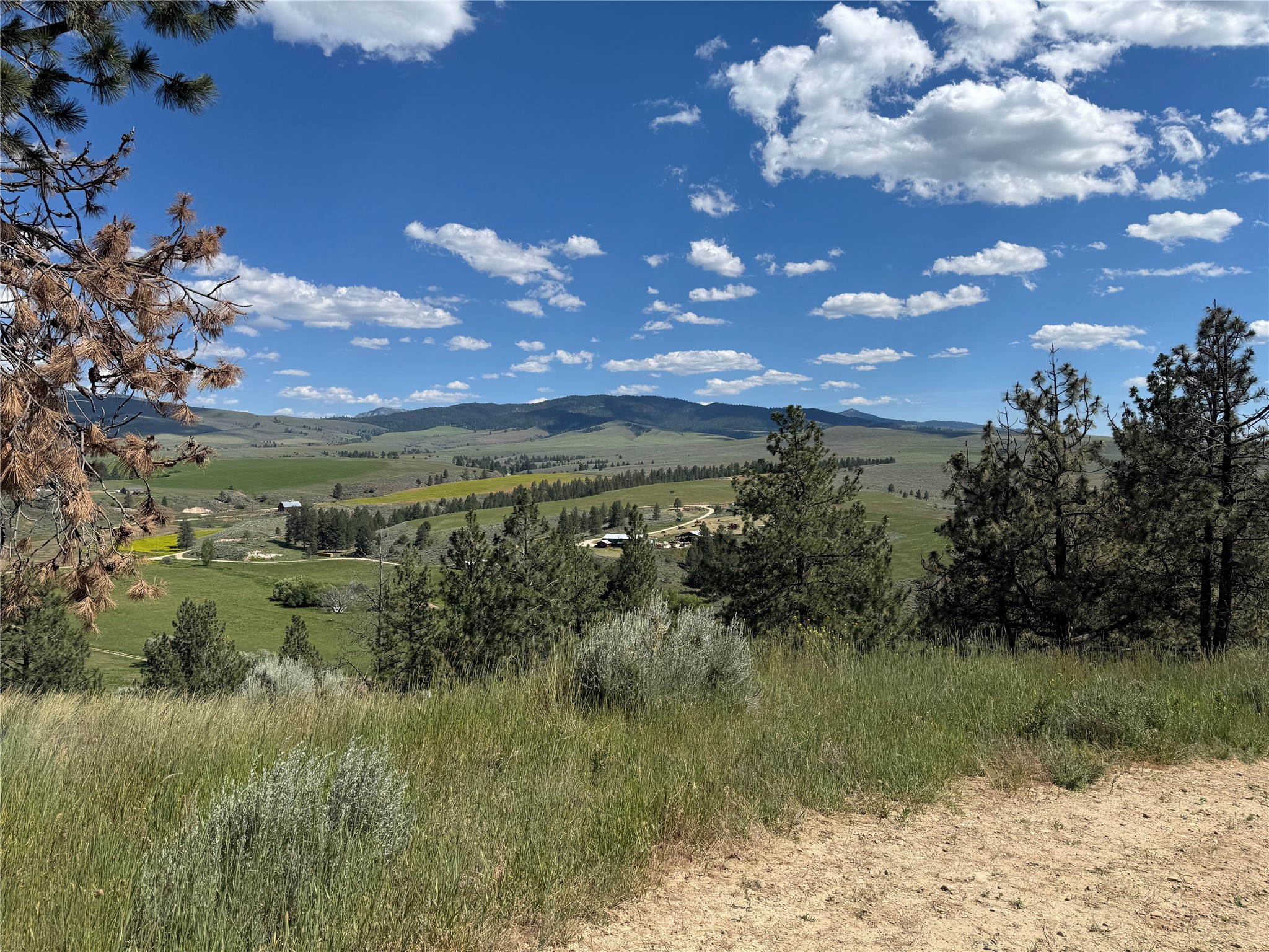 2019 S Sunset Bench Road Property Photo 38