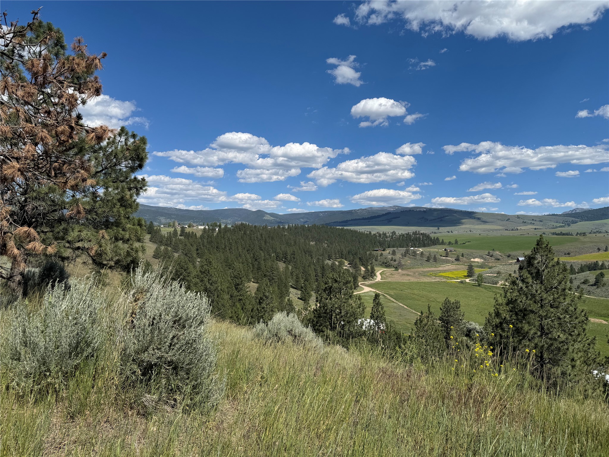 2019 S Sunset Bench Road Property Photo 39