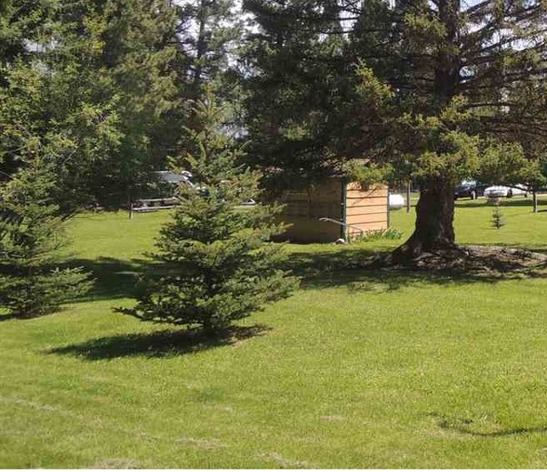 873 D Street Property Photo 3