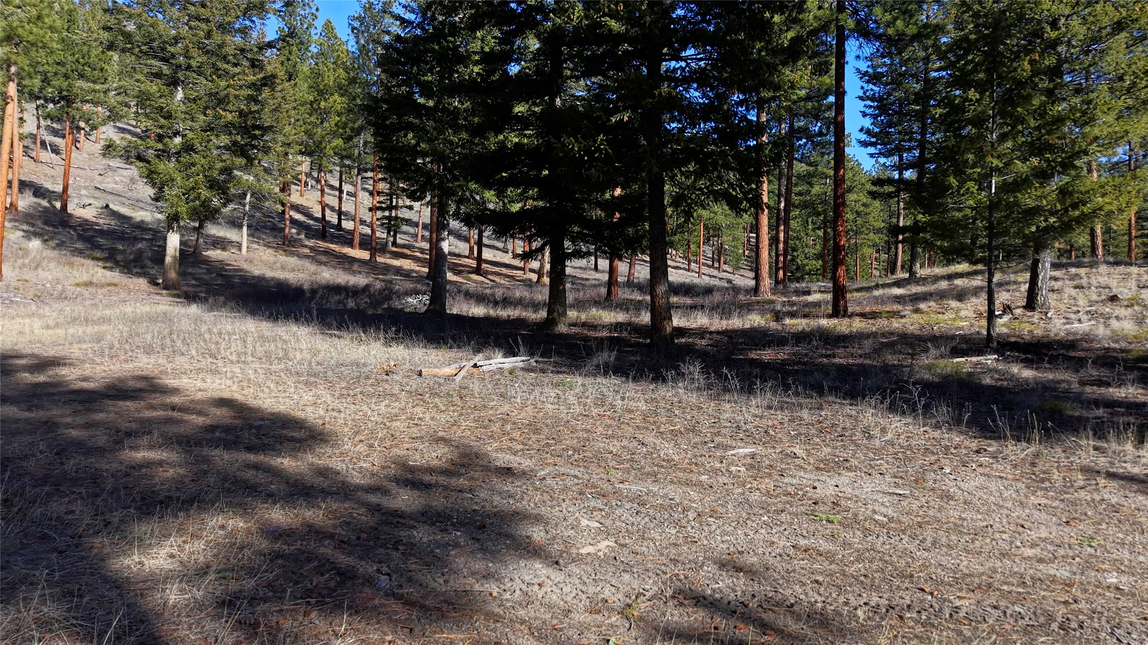 Lot 15 Muddler Court Property Photo 5