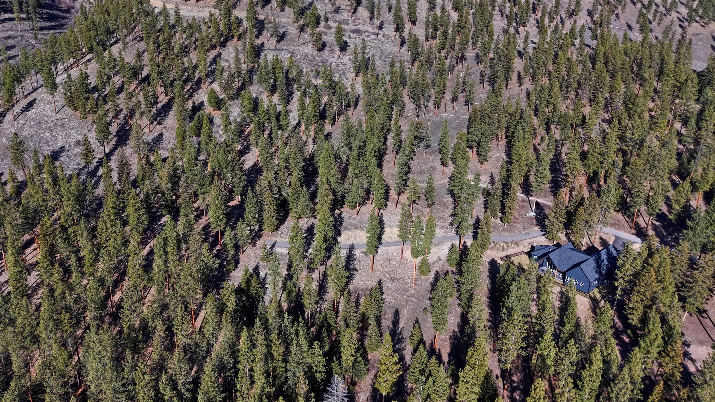 Lot 15 Muddler Court Property Photo 6