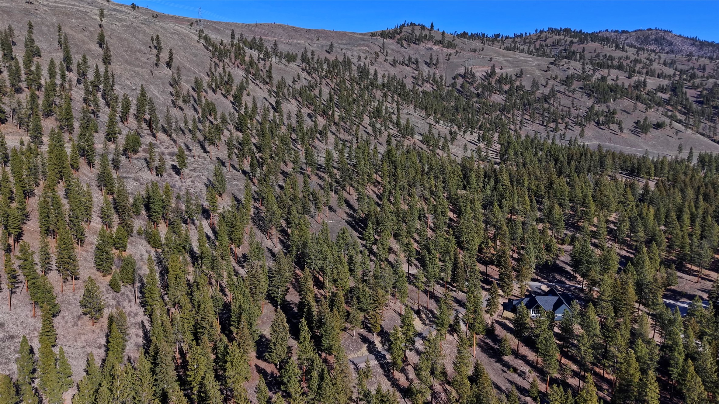 Lot 15 Muddler Court Property Photo 8
