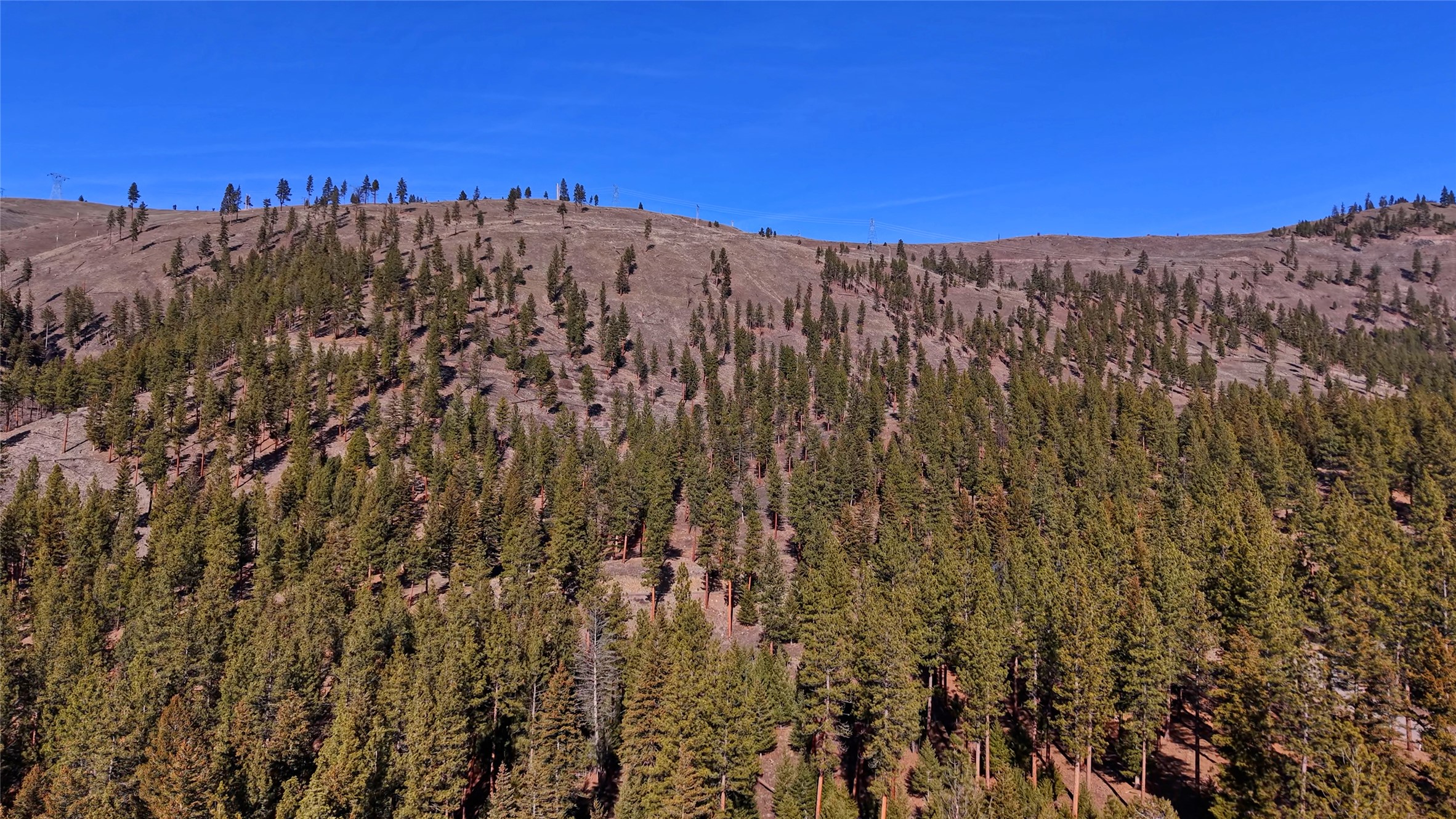 Lot 15 Muddler Court Property Photo 9