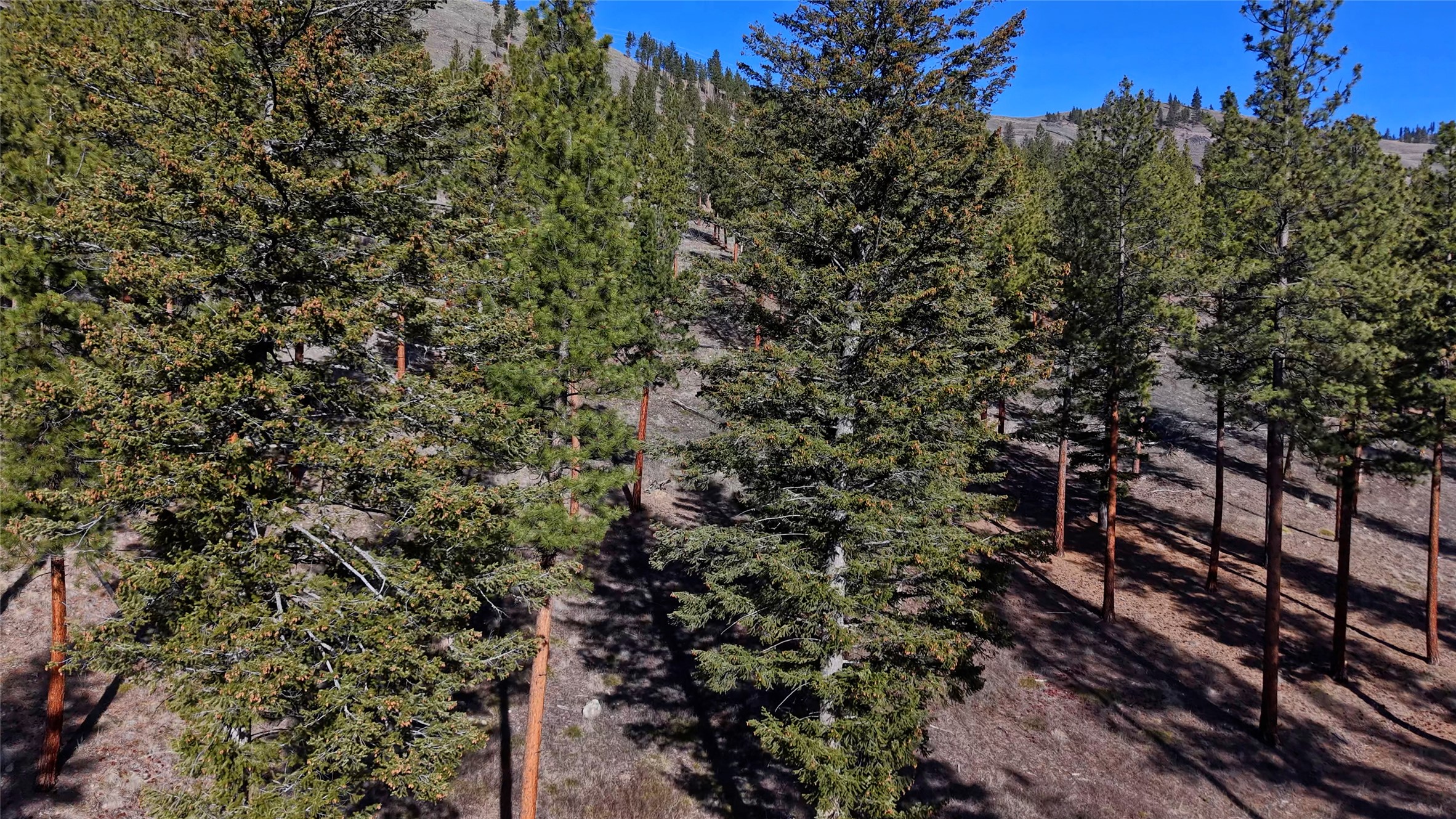 Lot 15 Muddler Court Property Photo 11