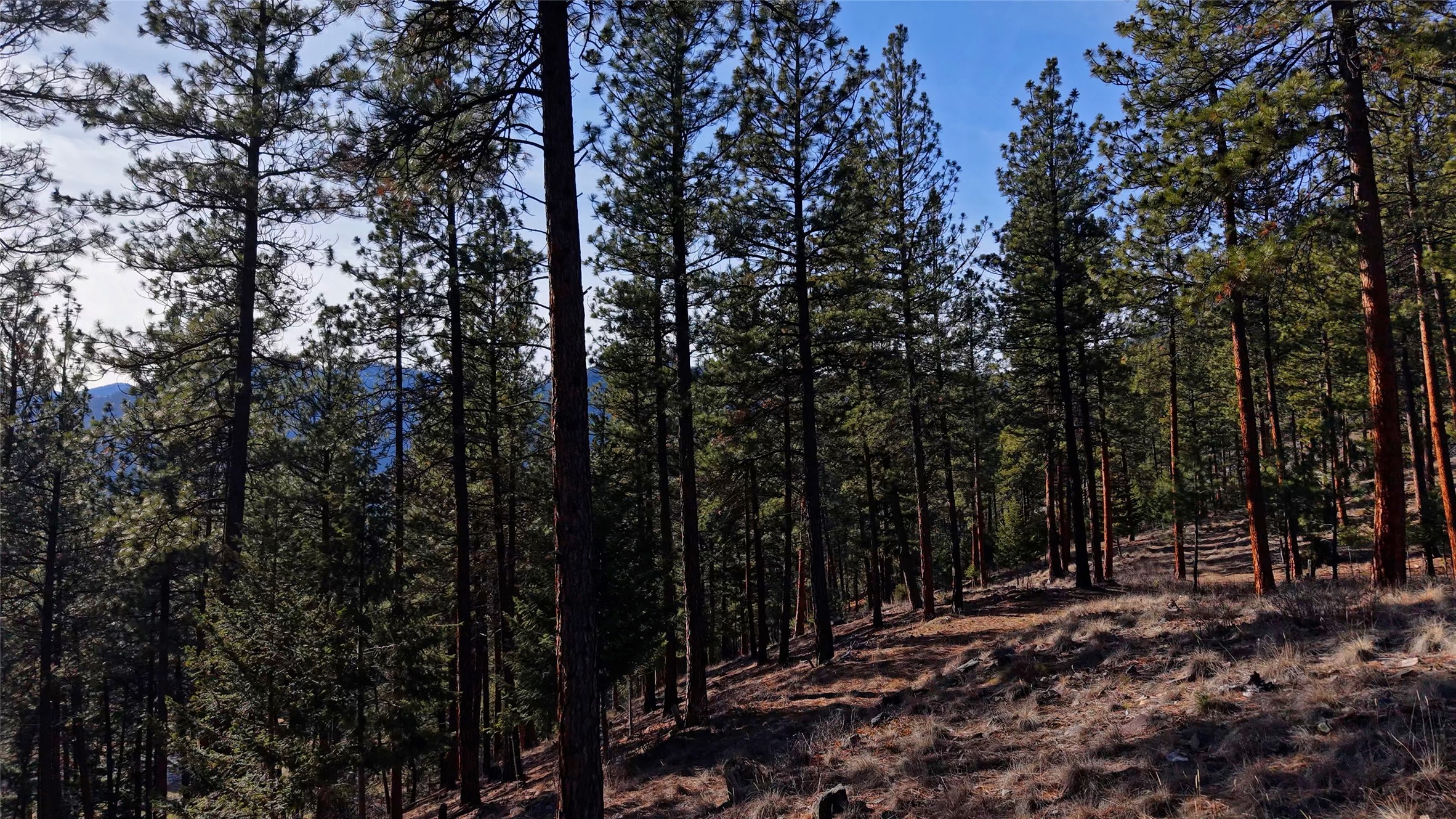 Lot 15 Muddler Court Property Photo 12
