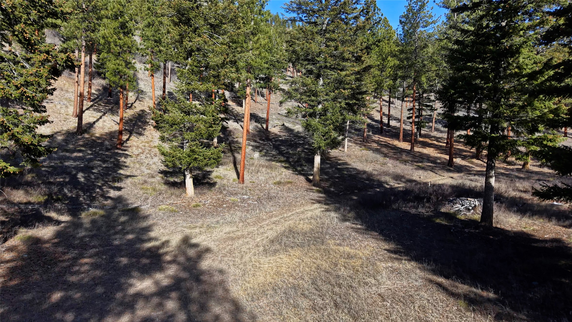 Lot 15 Muddler Court Property Photo 13