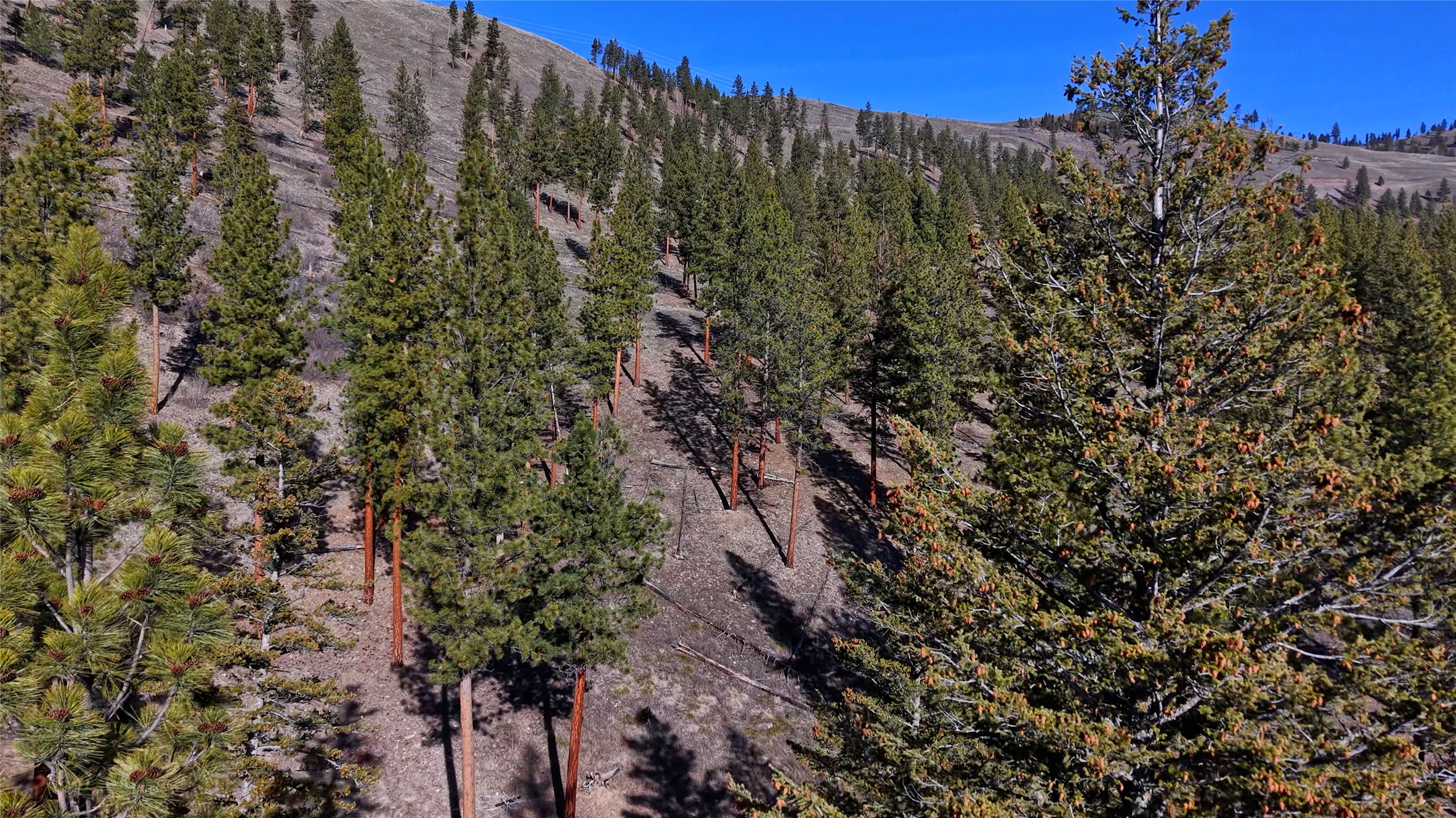 Lot 15 Muddler Court Property Photo 14