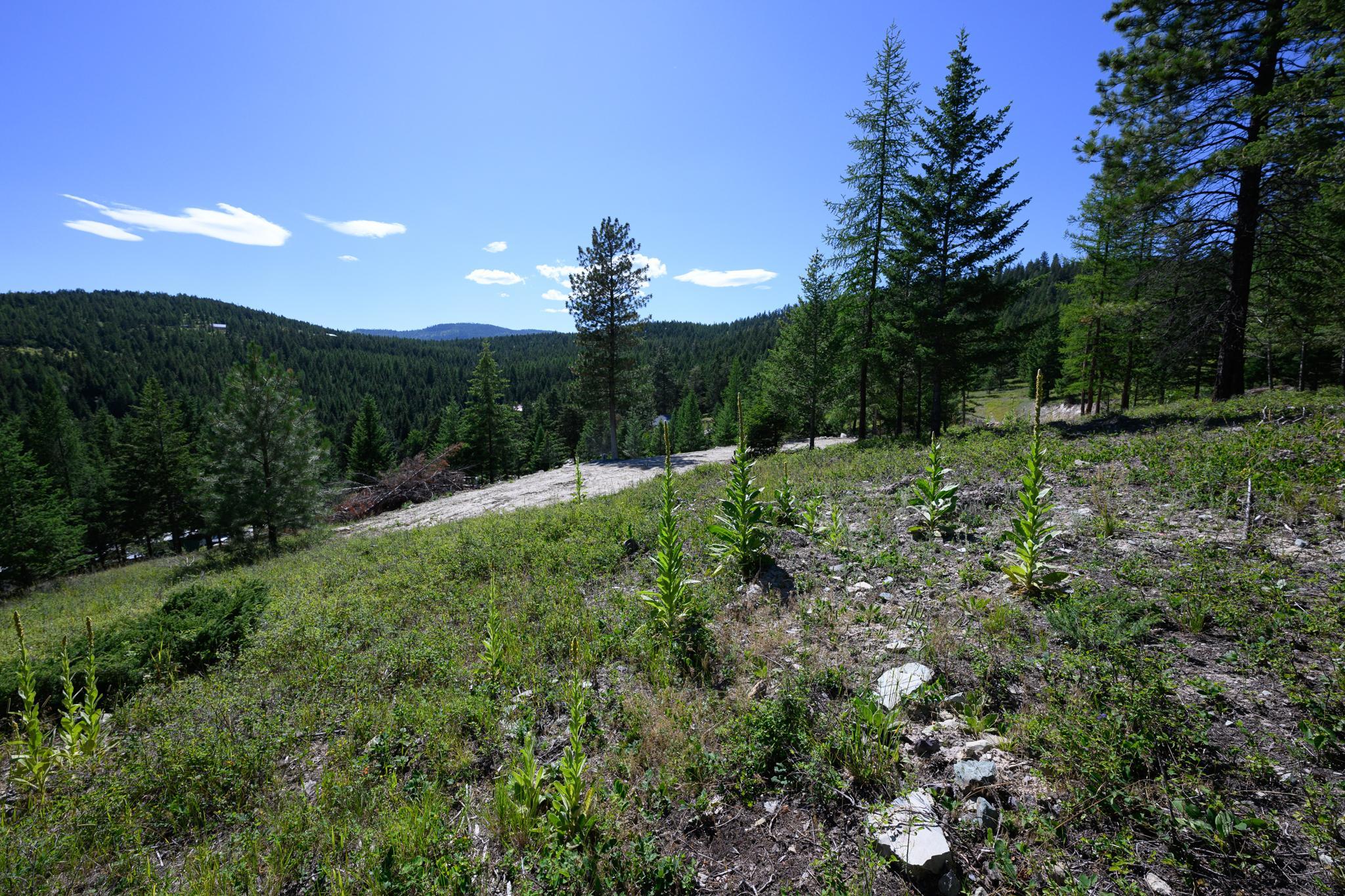 359 Copper Road Property Photo 5