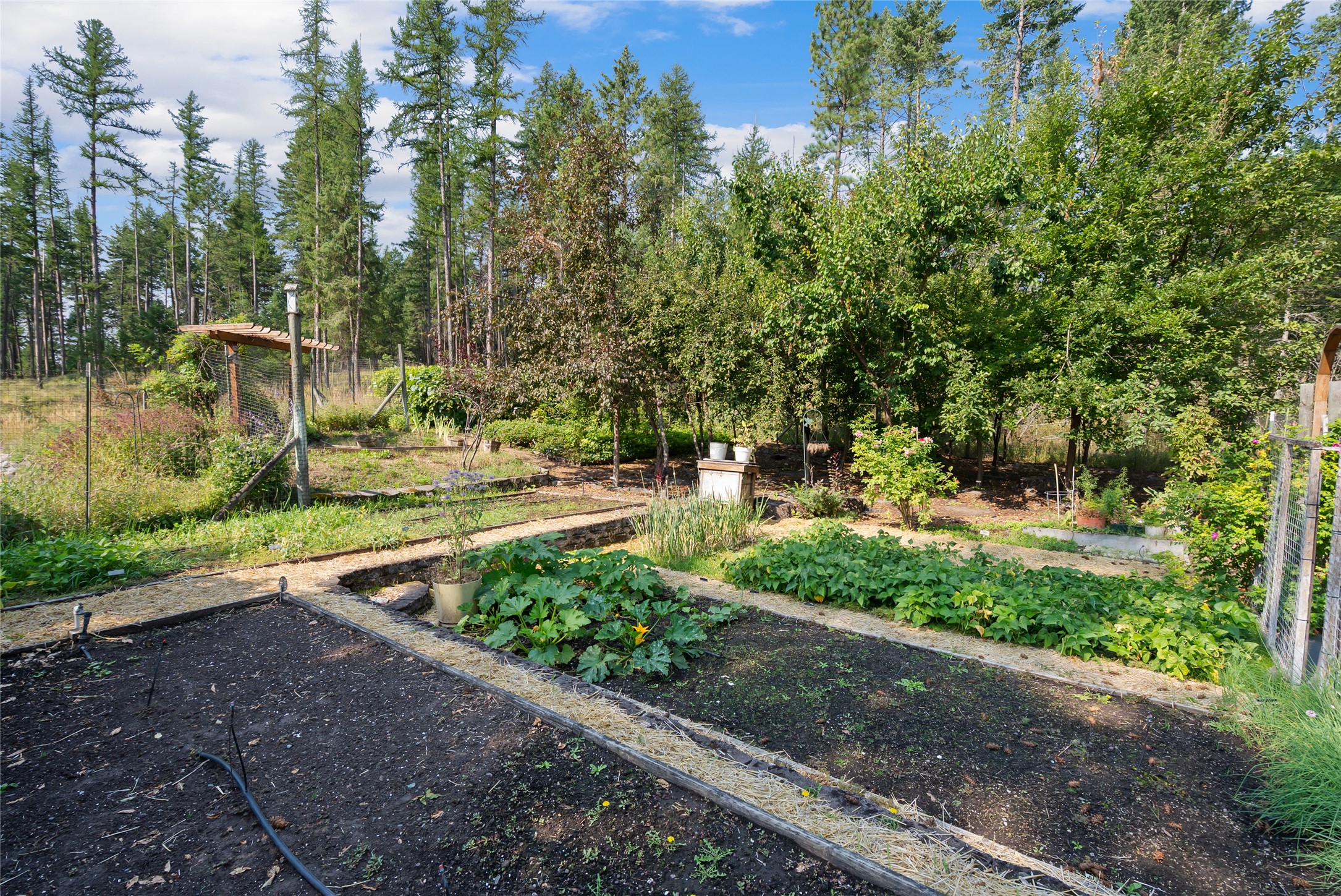 130 Wagon Wheel Road Property Photo 31