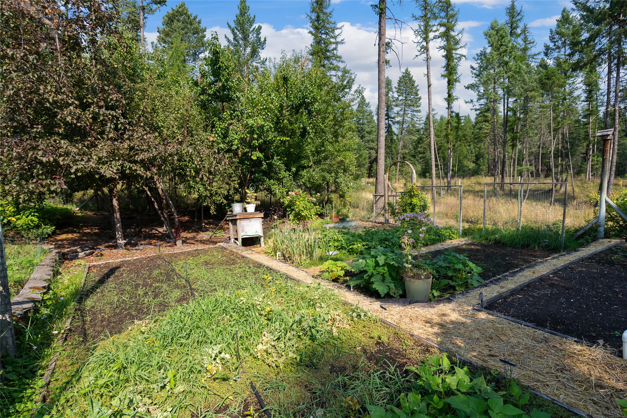 130 Wagon Wheel Road Property Photo 32