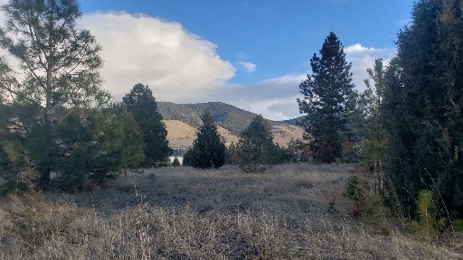 Tbd Early Dawn Drive Property Photo 1