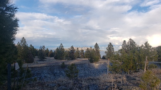Tbd Early Dawn Drive Property Photo 2