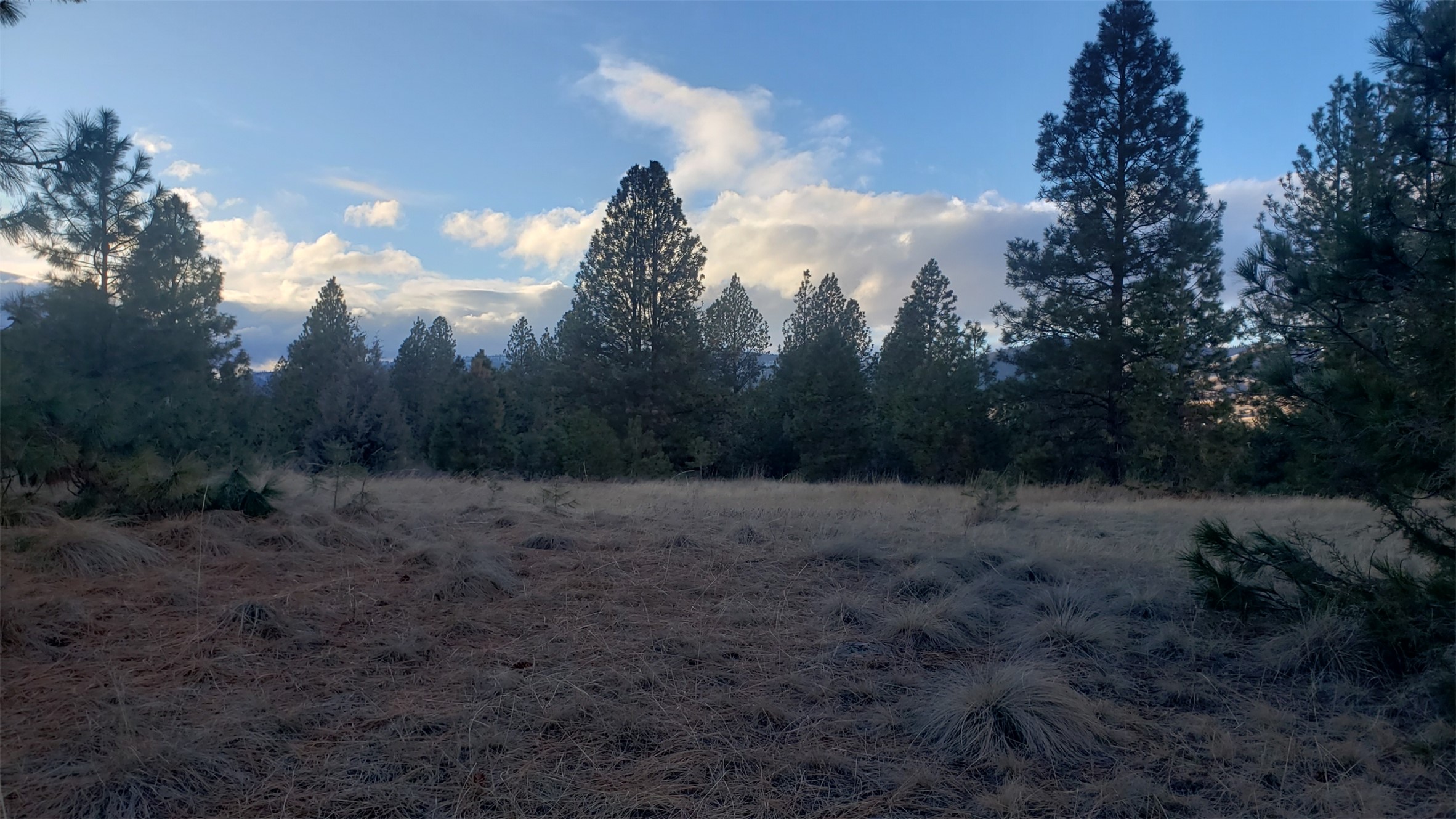 Tbd Early Dawn Drive Property Photo 5