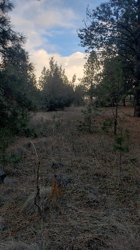 Tbd Early Dawn Drive Property Photo 6
