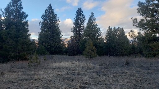 Tbd Early Dawn Drive Property Photo 7