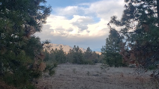 Tbd Early Dawn Drive Property Photo 9