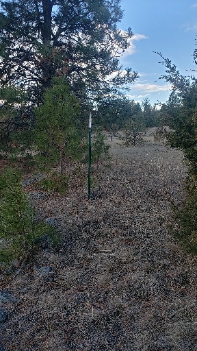 Tbd Early Dawn Drive Property Photo 11