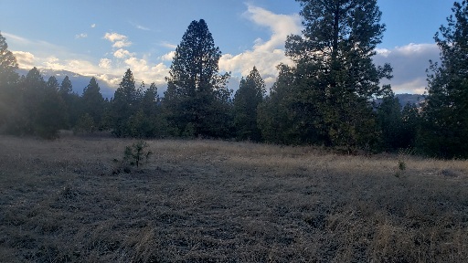 Tbd Early Dawn Drive Property Photo 13