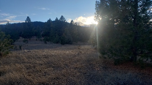 Tbd Early Dawn Drive Property Photo 14