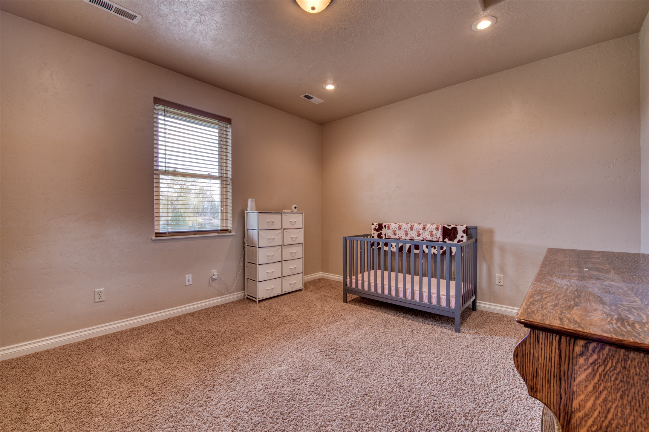 375 Whispering Willow Way Property Photo 38