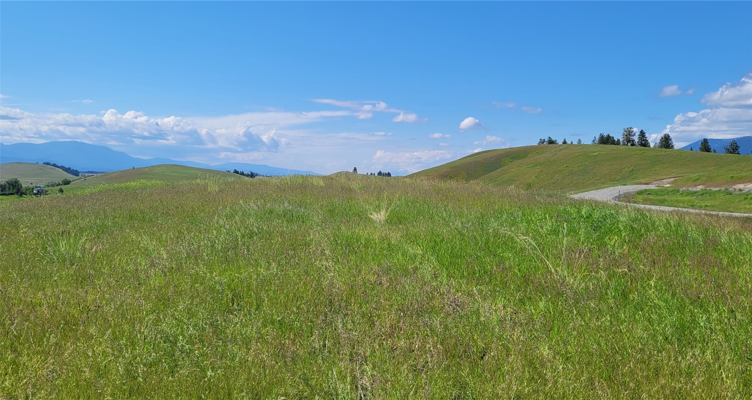 138 Grassy Loop Property Photo 3