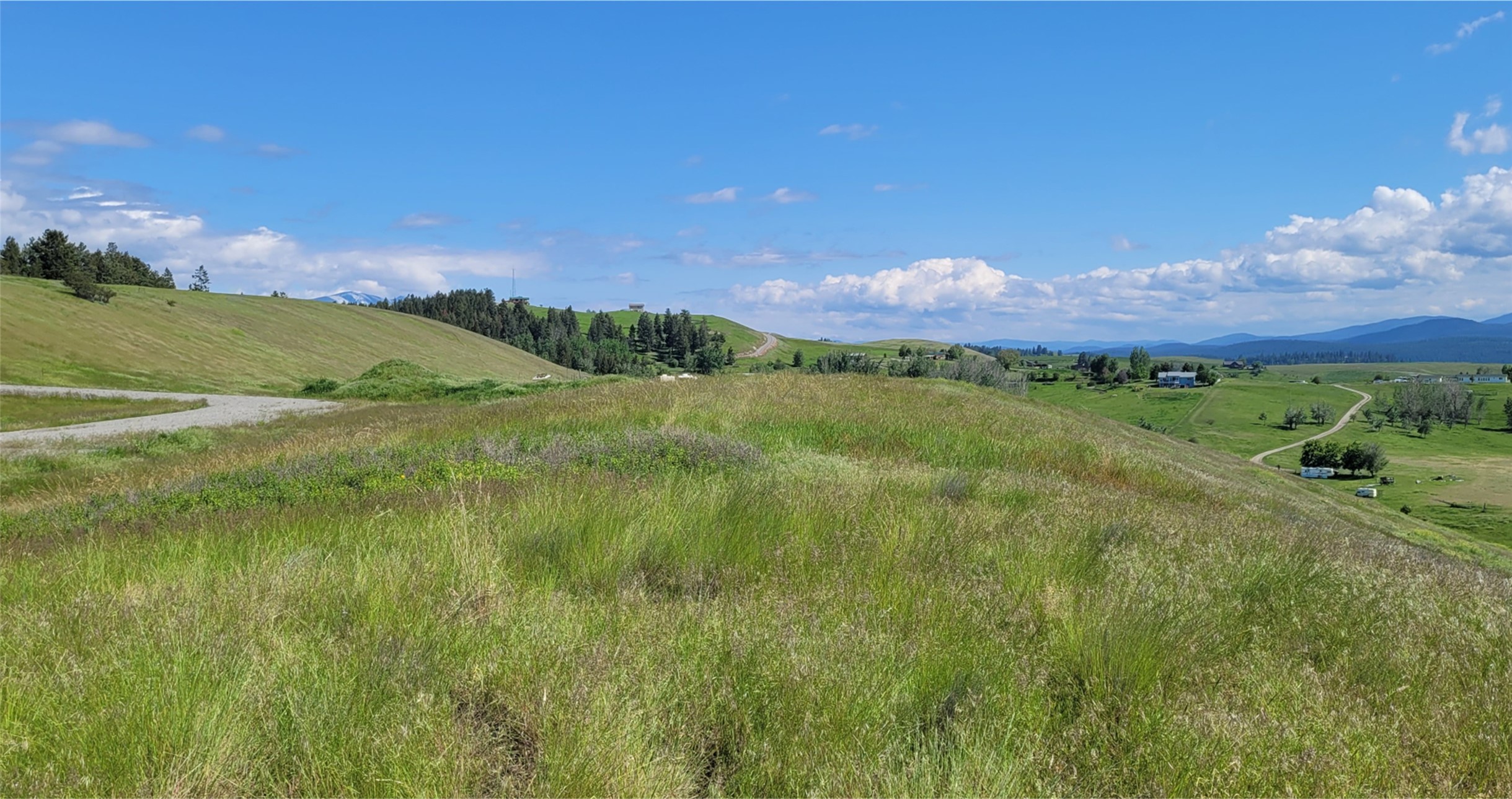138 Grassy Loop Property Photo 5
