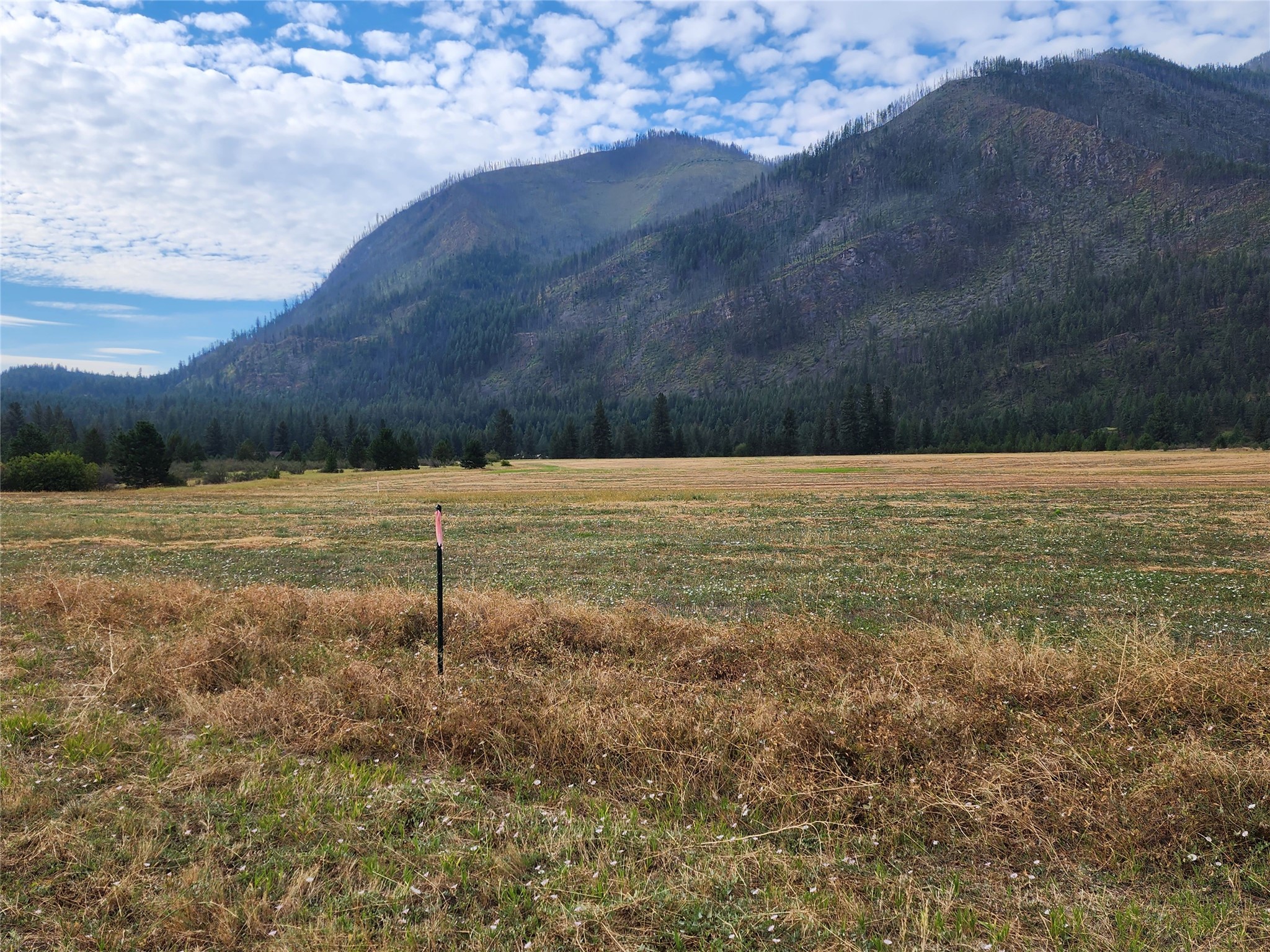 Lot 5 Harbine Ranch Road Property Photo 9