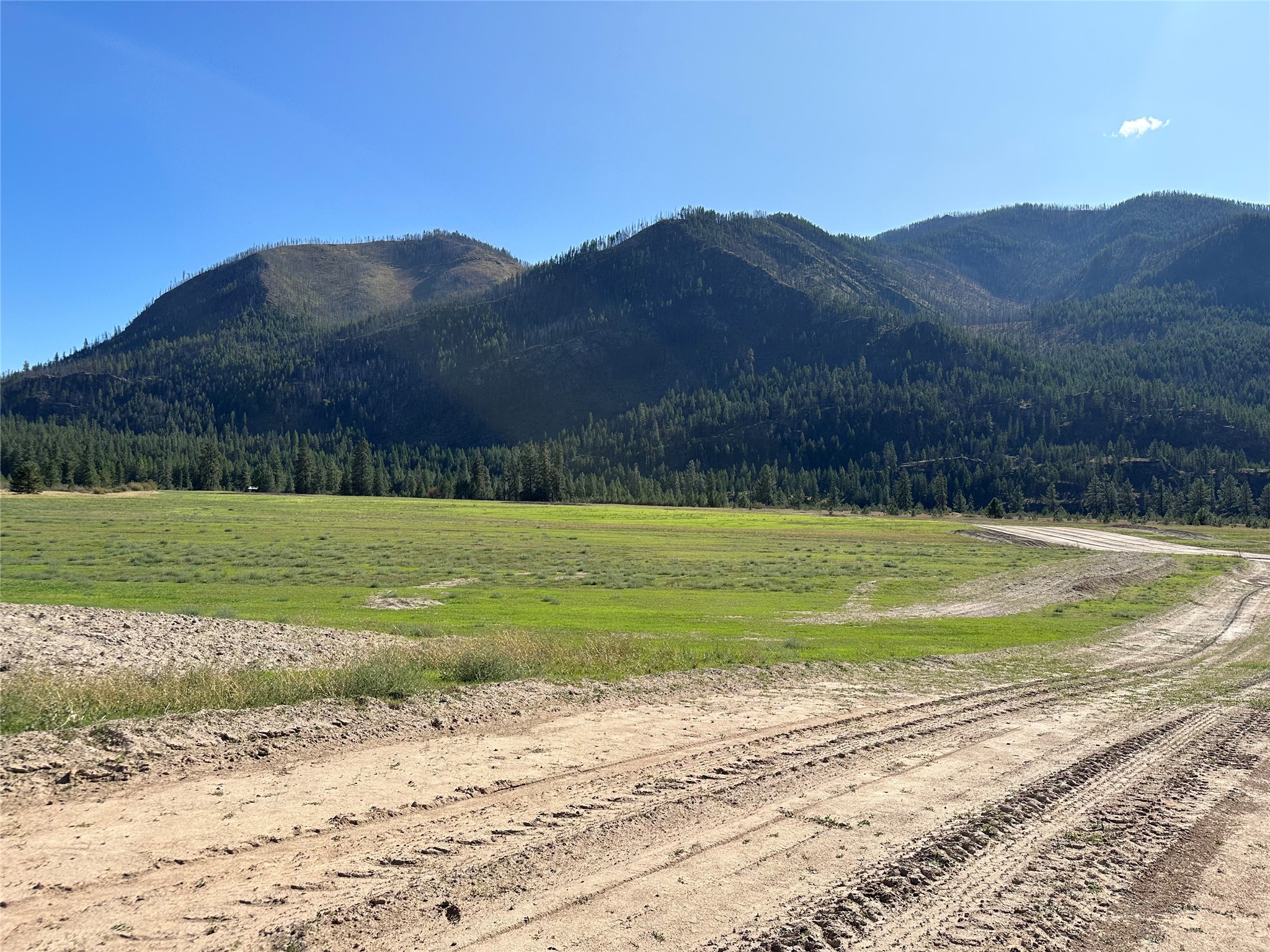 Lot 5 Harbine Ranch Road Property Photo 12