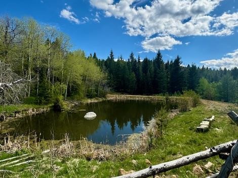 Nhn Perkins Gulch Road Property Photo