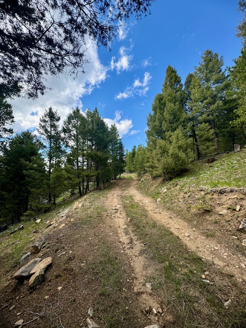 Nhn Perkins Gulch Road Property Photo 4