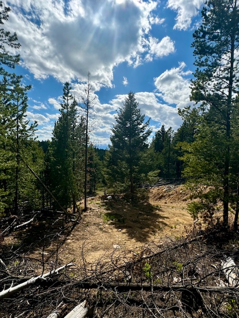 Nhn Perkins Gulch Road Property Photo 7