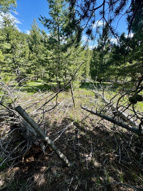 Nhn Perkins Gulch Road Property Photo 8