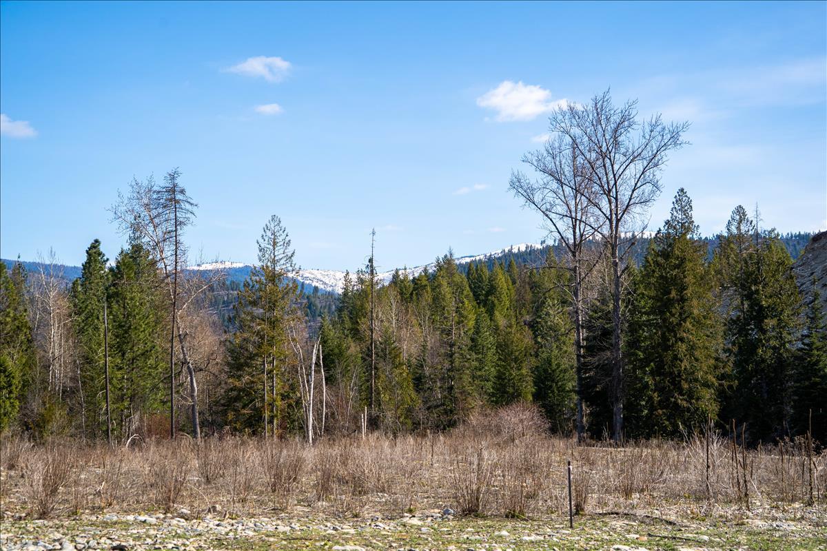 420 St Regis Road Property Photo 8
