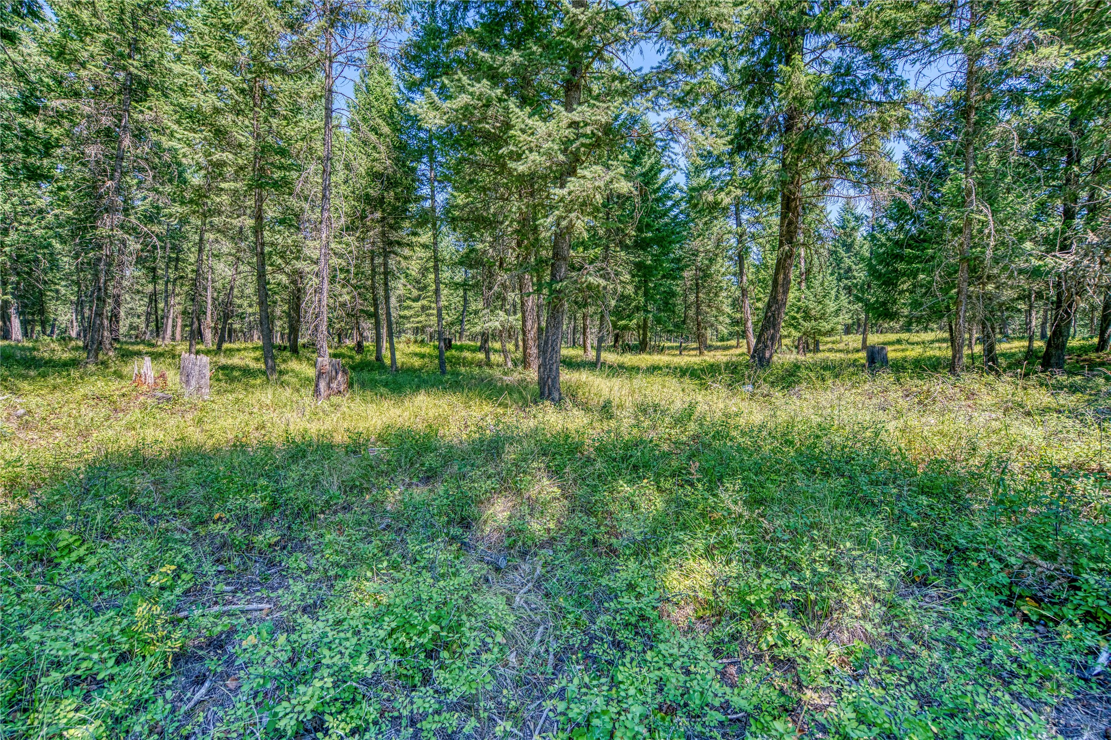 Nhn Km Ranch Road Property Photo 2