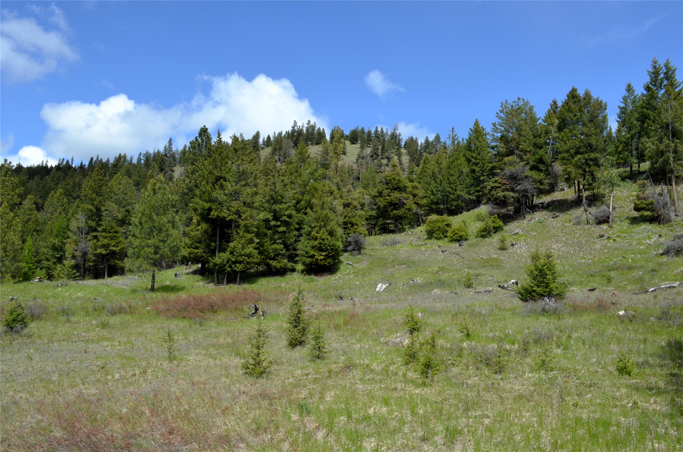 Nhn Bugler Trail Property Photo 2