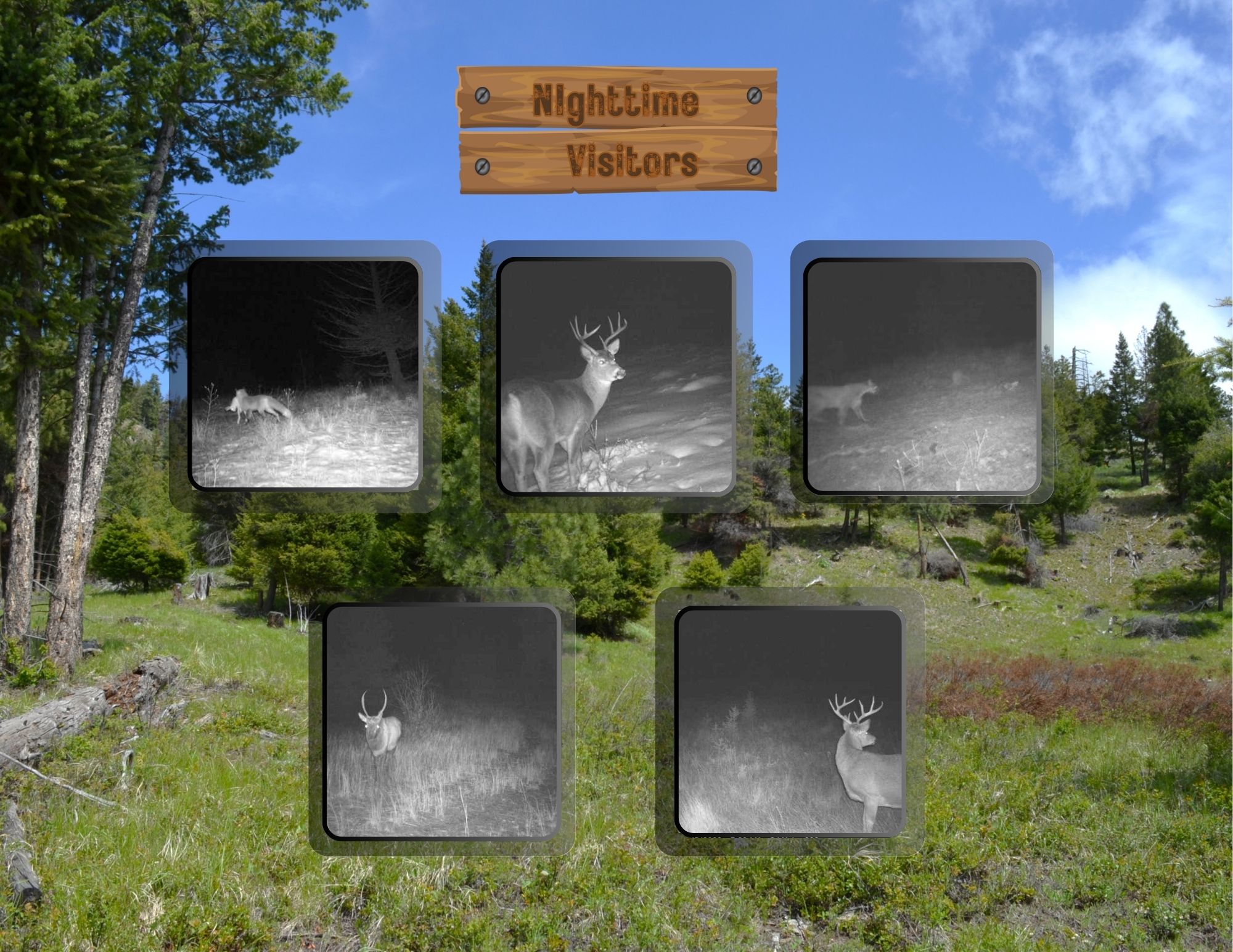 Nhn Bugler Trail Property Photo 4