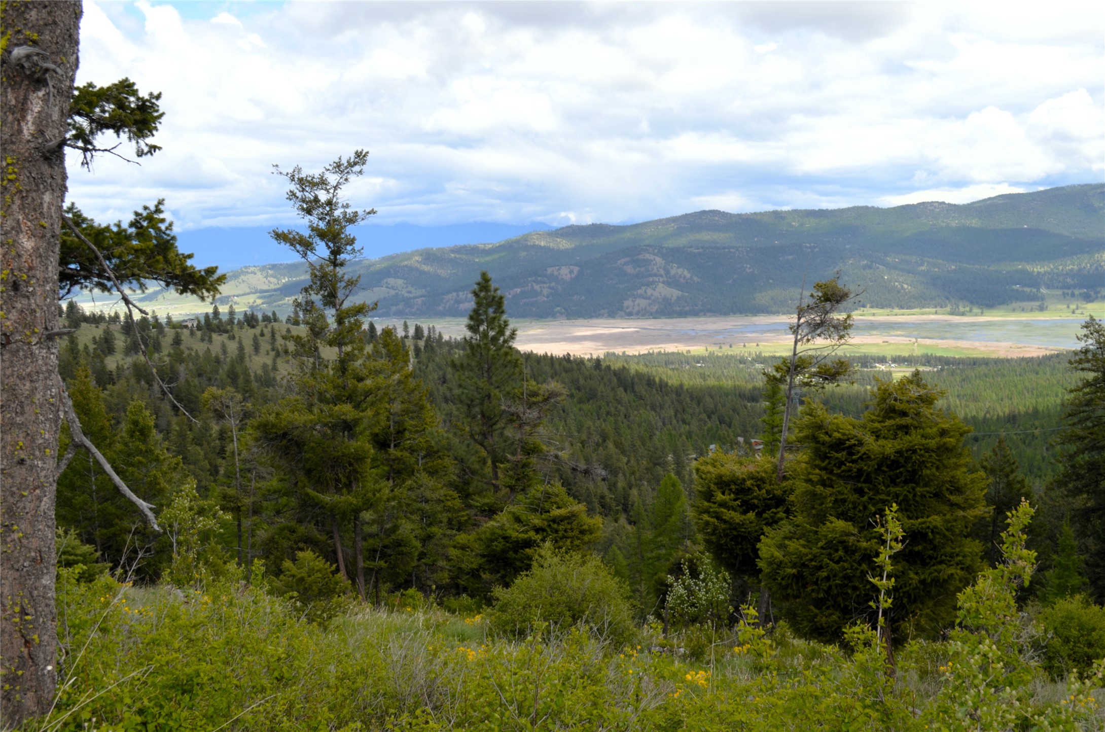 Nhn Bugler Trail Property Photo 13