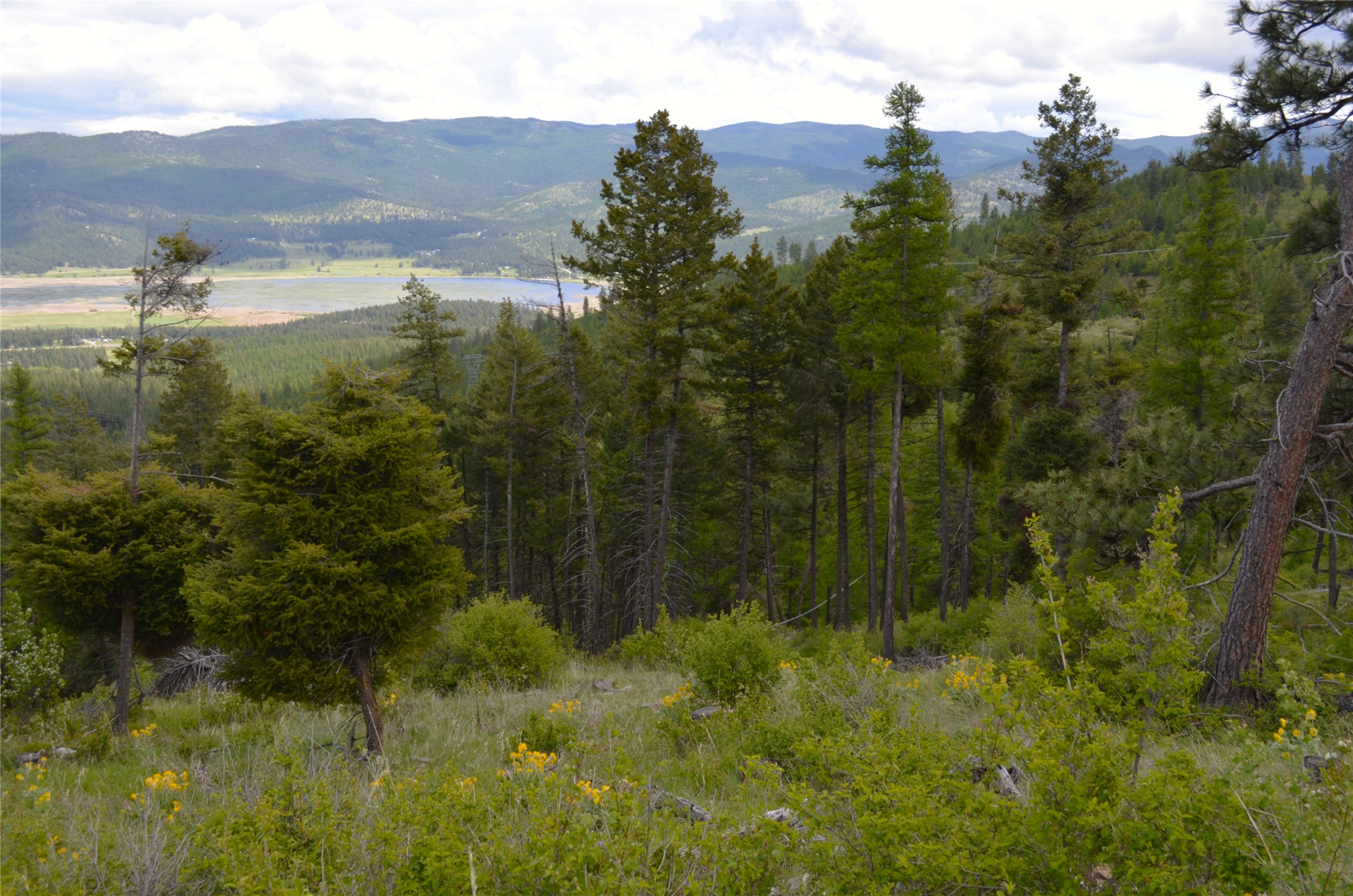 Nhn Bugler Trail Property Photo 14