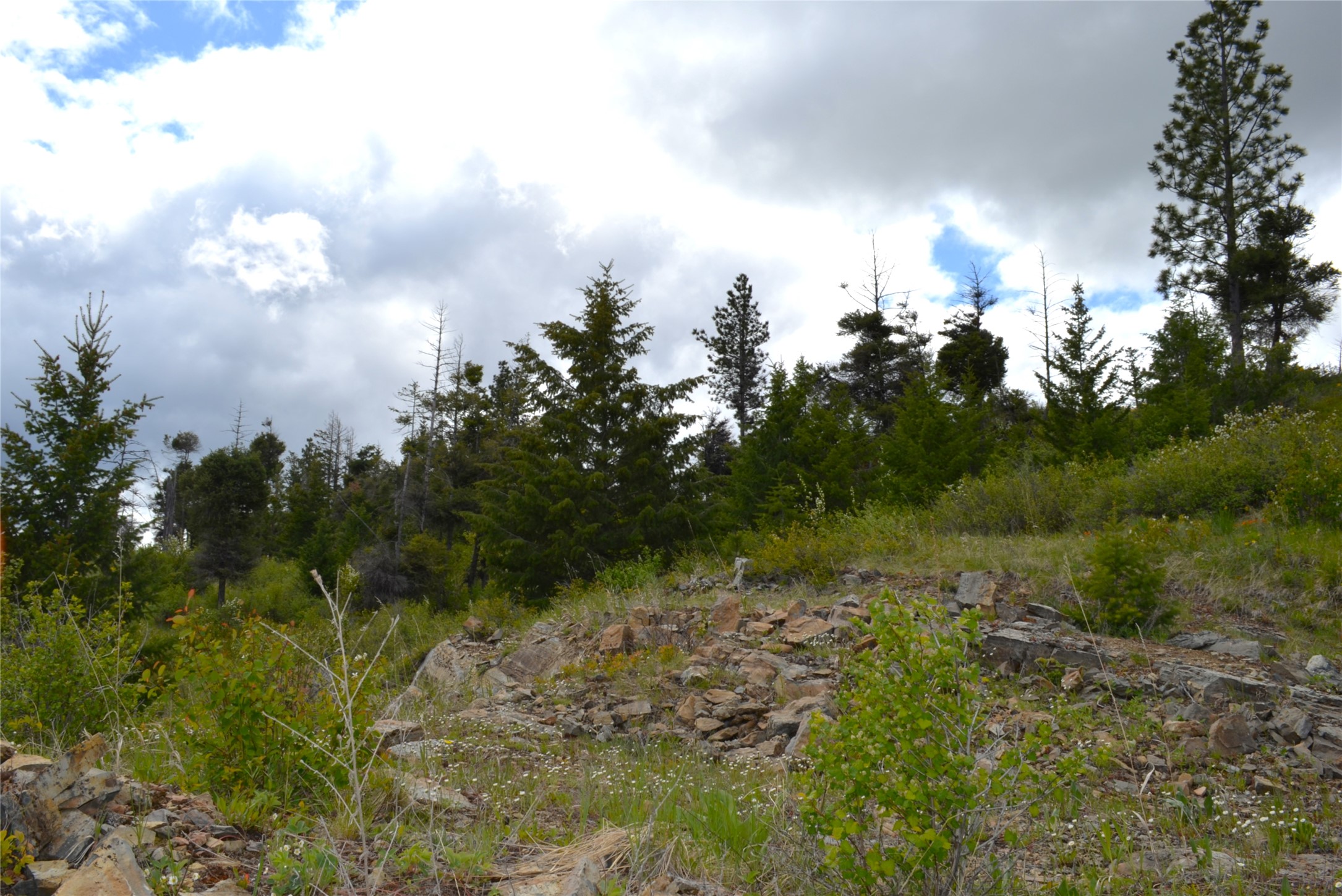 Nhn Bugler Trail Property Photo 16