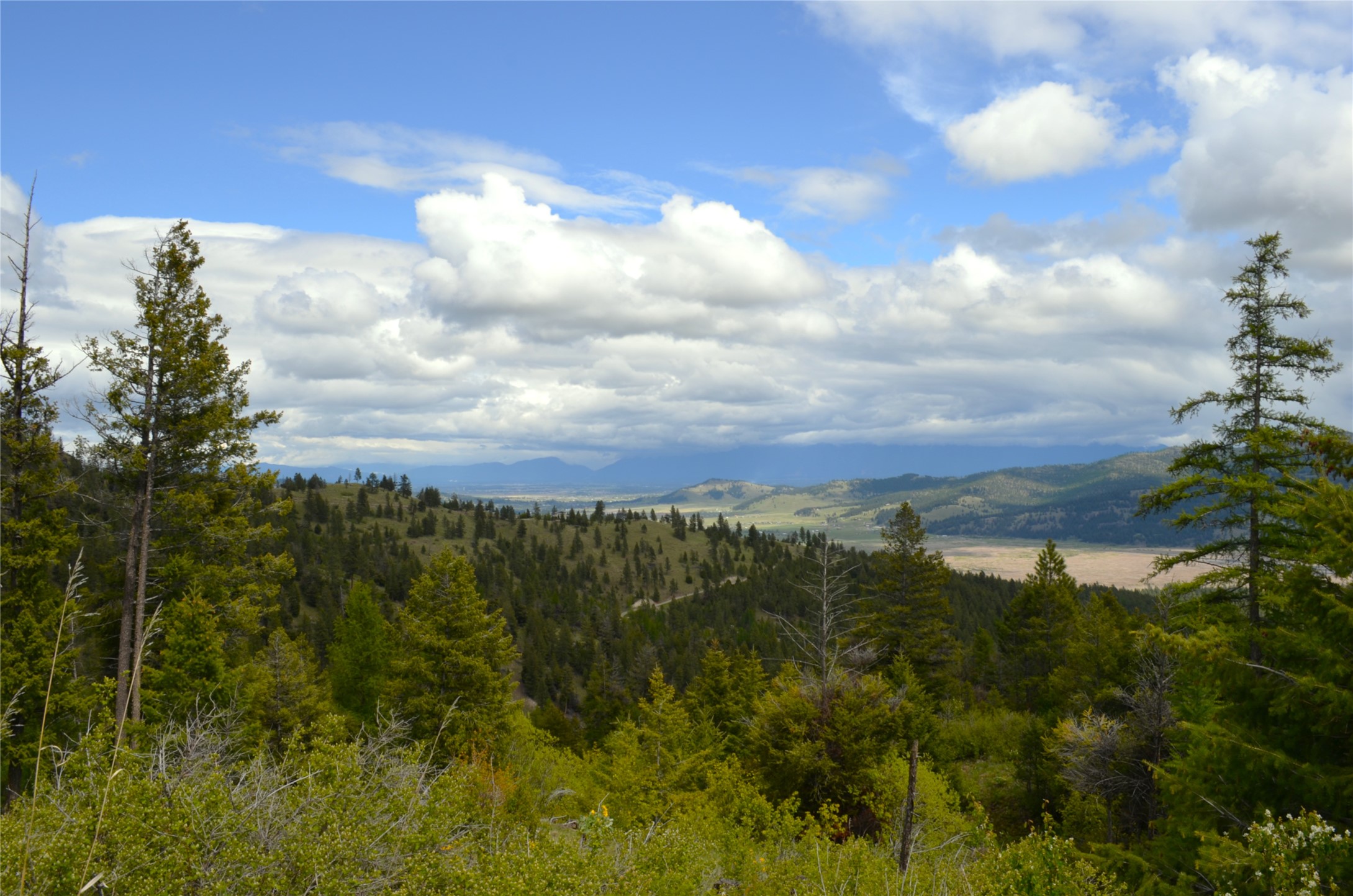 Nhn Bugler Trail Property Photo 17
