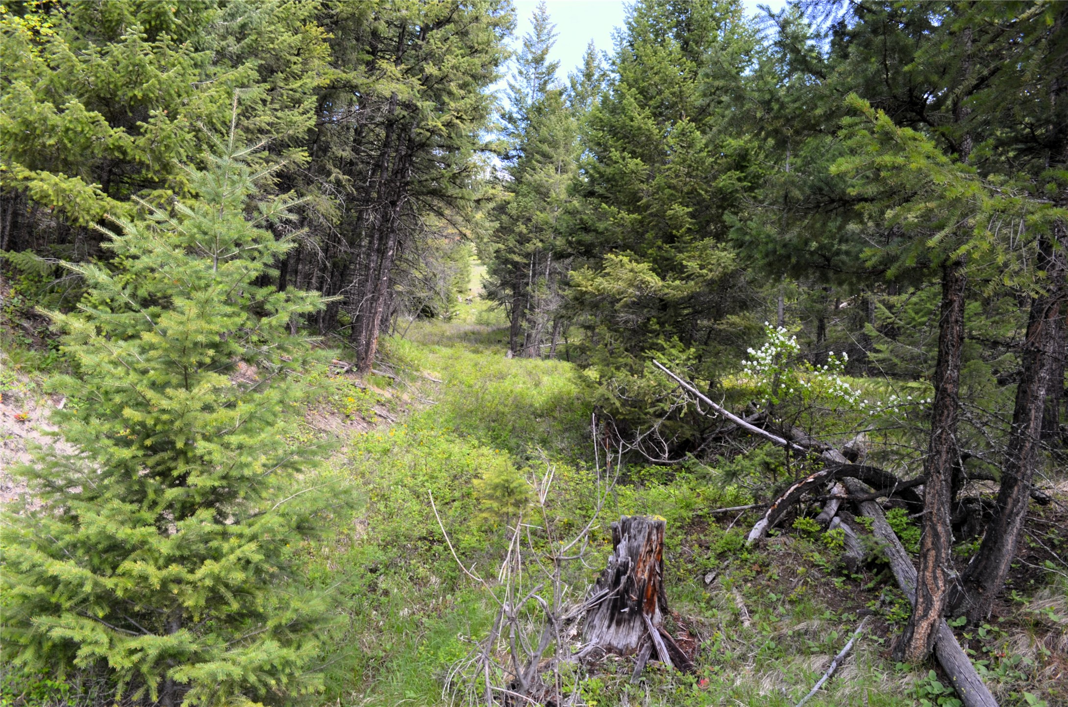 Nhn Bugler Trail Property Photo 18