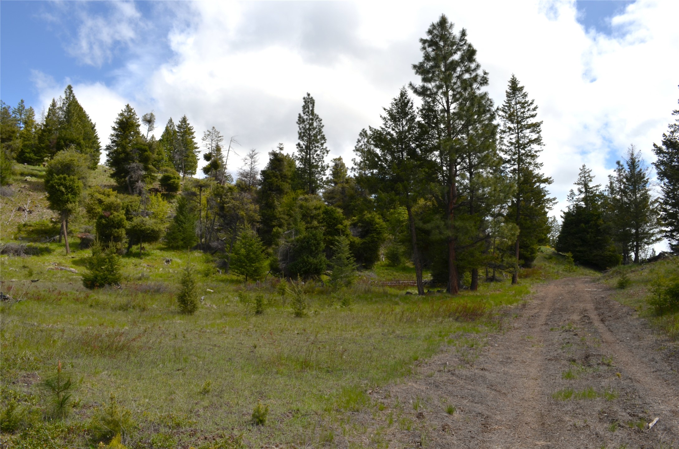 Nhn Bugler Trail Property Photo 19