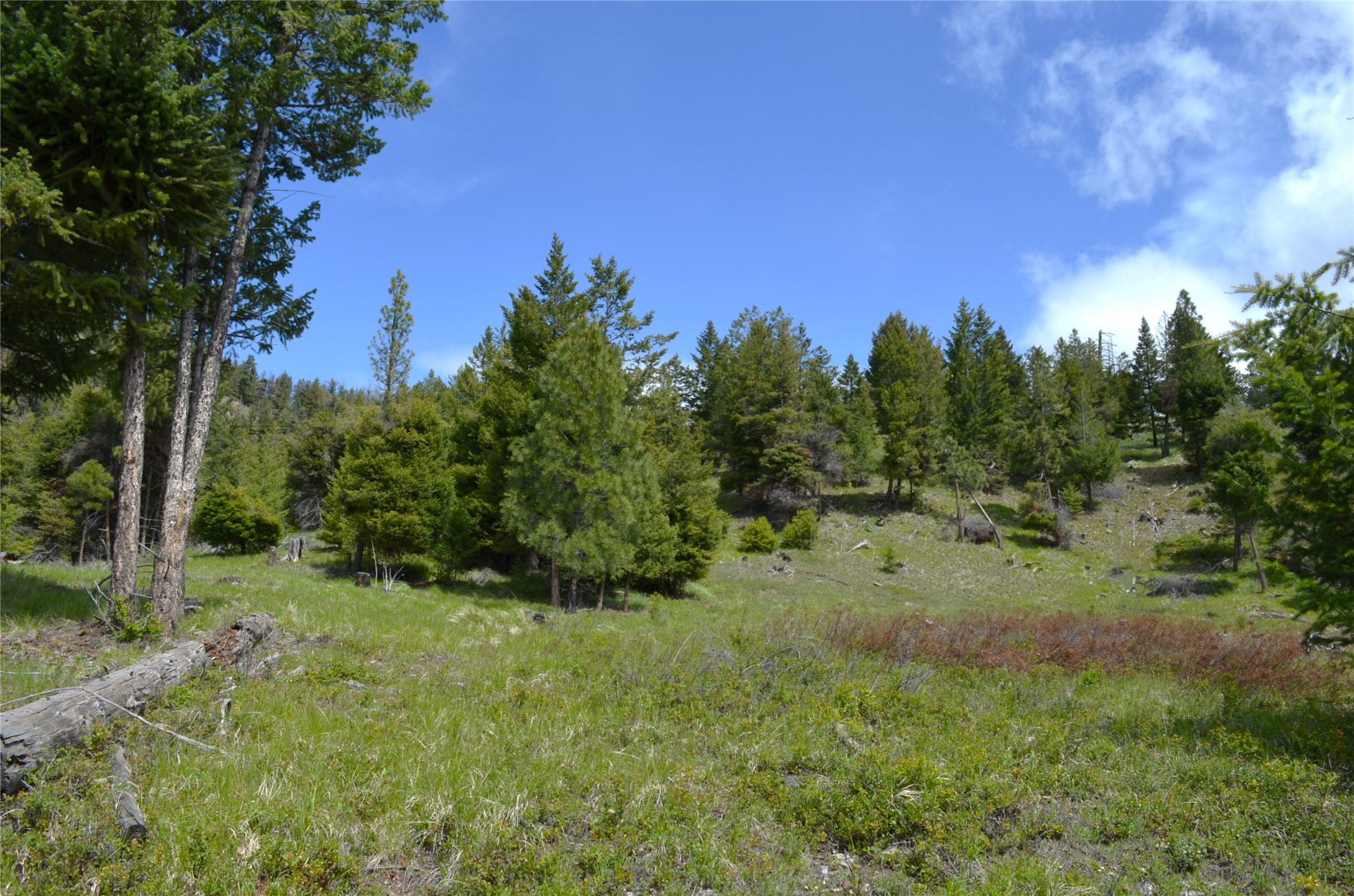Nhn Bugler Trail Property Photo 20