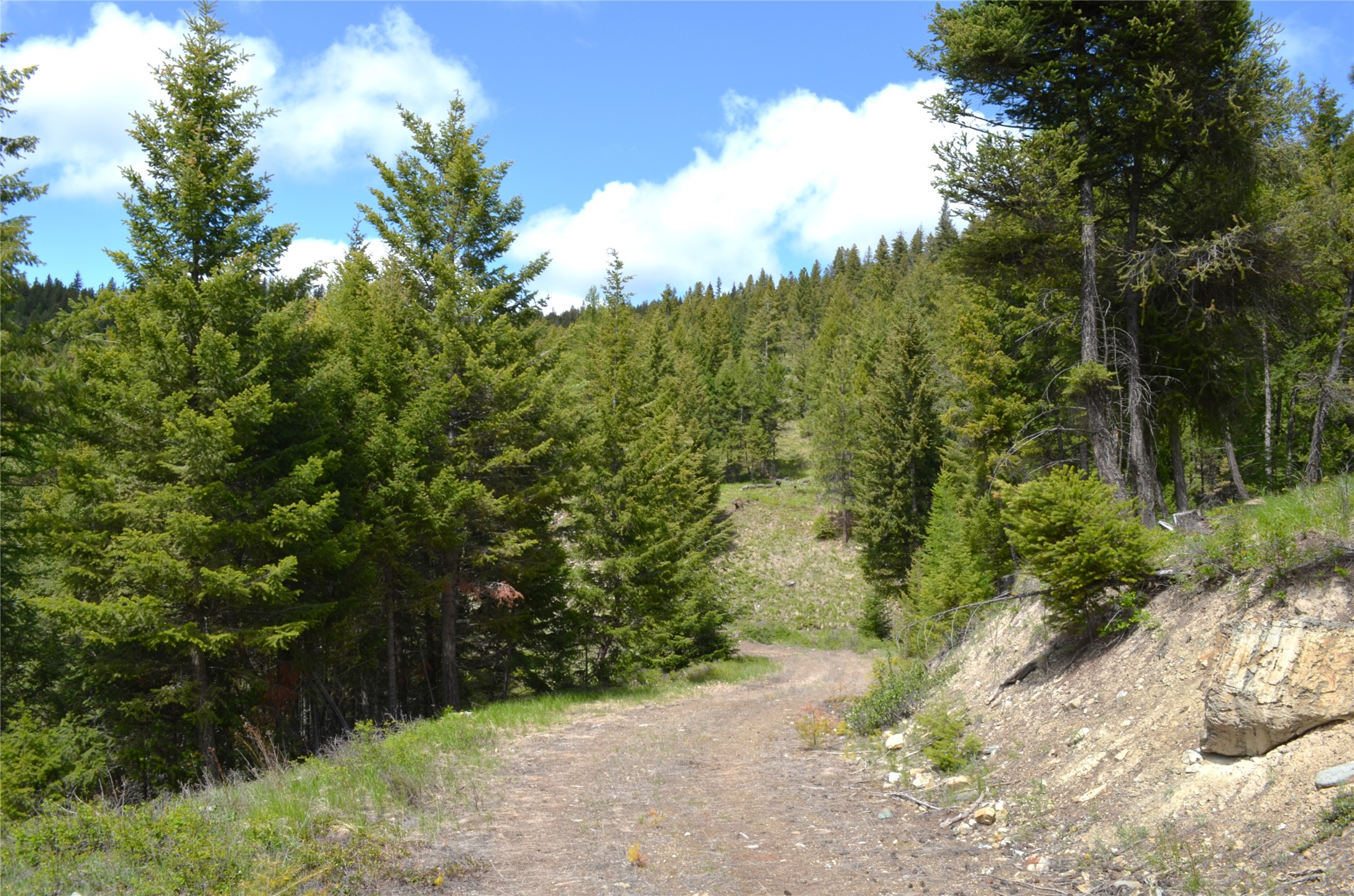 Nhn Bugler Trail Property Photo 21